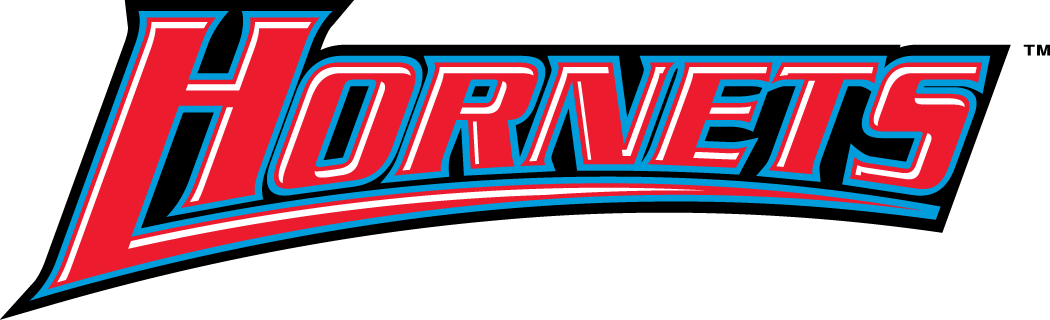 Delaware State Hornets 2004-Pres Wordmark Logo v3 diy iron on heat transfer
